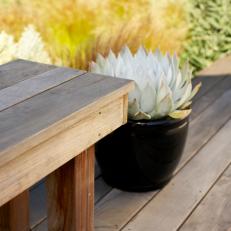 Wood Deck and Bench with Succulent in Black Ceramic Pot