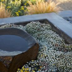 Japanese Garden with Stone Water Feature and Small Flowers