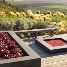 Wood Deck with Red Flowers in Square Beds with Surrounding Grasses and Plants 