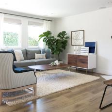 Neutral Midcentury Living Room With Shag Rug