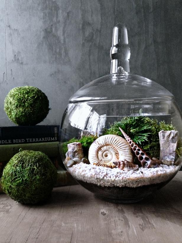 Fossils and Moss in Glass Terrarium 