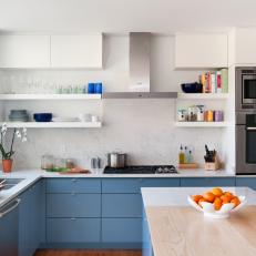 Blue and White Transitional Open Plan Kitchen 