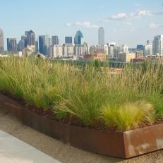 Large Grass Planter on Rooftop Patio