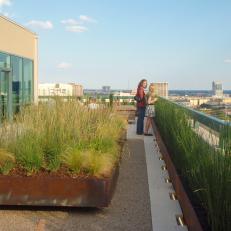Large Grass Planter on Rooftop Patio