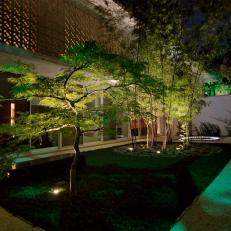 Contemporary Courtyard Perfect for Evening Entertaining