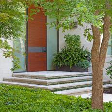 Entrance to a Modern Home with Trees, Plants and a Wood-and-metal Door
