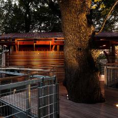 Modern Treehouse Design