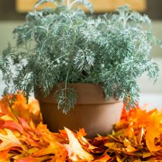 13 FUN WAYS TO ADD FALL TOUCHES TO YOUR HOME