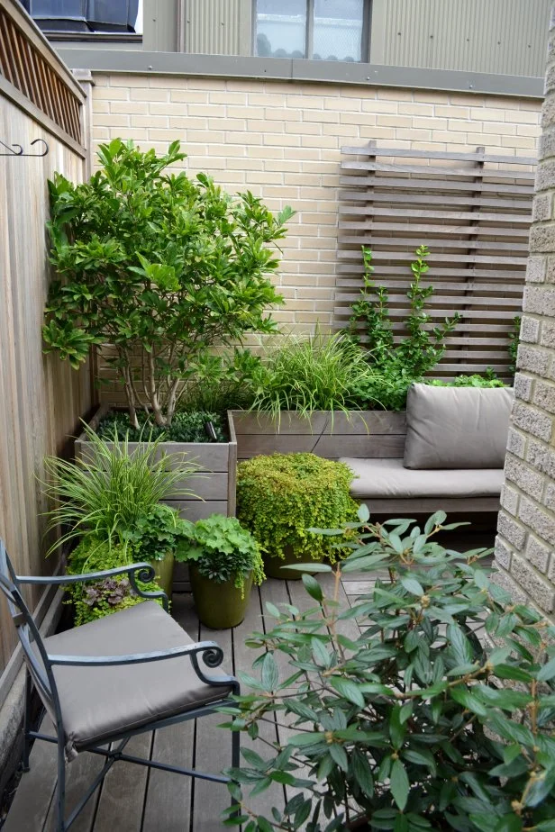 Balcony Plant Arrangement Ideas: Stunning Tips for Vibrant Spaces