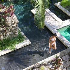 Geometric Swimming Pool and Tropical Plants