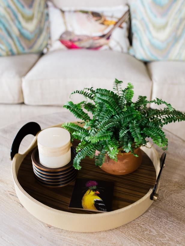 Living Room Coffee Table Vignette with Fern