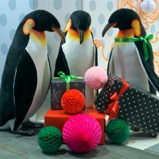 Penguins Standing Guard Over Gifts