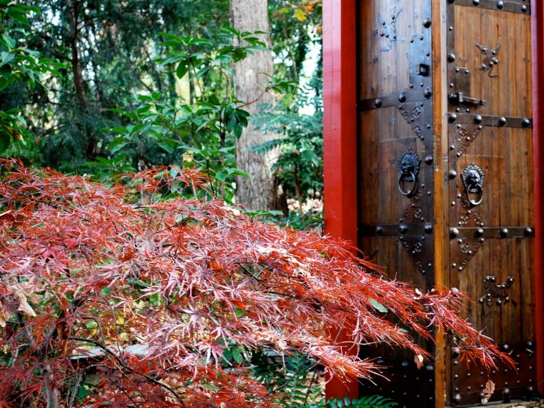 Fall Garden Design with a Japanese Maple and Antique Chinese Doors