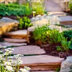 A Flagstone Walkway Meanders Through a Native Garden