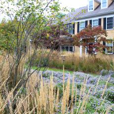 Two Story Home with Minimalist Garden Featuring Ornamental Grasses