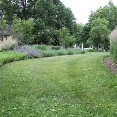 Grass Walkway Through Romantic Wild Garden