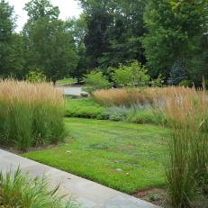 Ornamental Grasses and Low Growing Herbaceous Plants in Garden 
