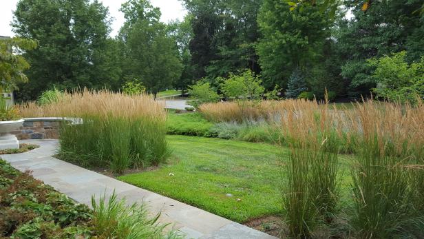 Ornamental Grasses Boarding Lawn and Stone Walkway