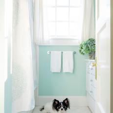 Mint-Green Cottage-Style Bathroom