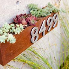 Rustic Metal Planter with Succulents and House Numbers