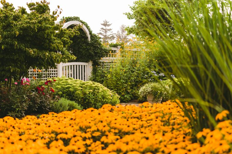 Cottage Garden 