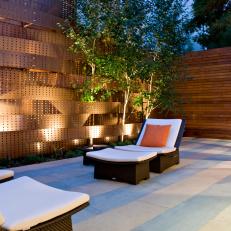 Landscape Lighting Illuminates Asian Patio and Copper Accent Wall With Intertwined Birch Trees 