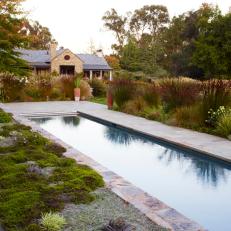 Rustic Modern Outdoor Space with Rectangular Pool and Evergreen Perennials