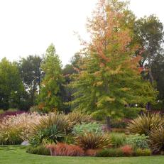 Garden with Scarlet Oak Tree and Ornamental Grasses