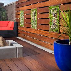 Raised Deck With Foliage in Wood Retaining Wall