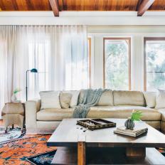 Transitional Living Room With Orange Rug
