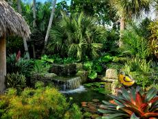 Tropical Water Feature