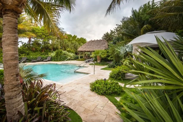 Swimming Pool With Tropical Plants