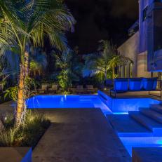 Modern Pool With Palm Trees