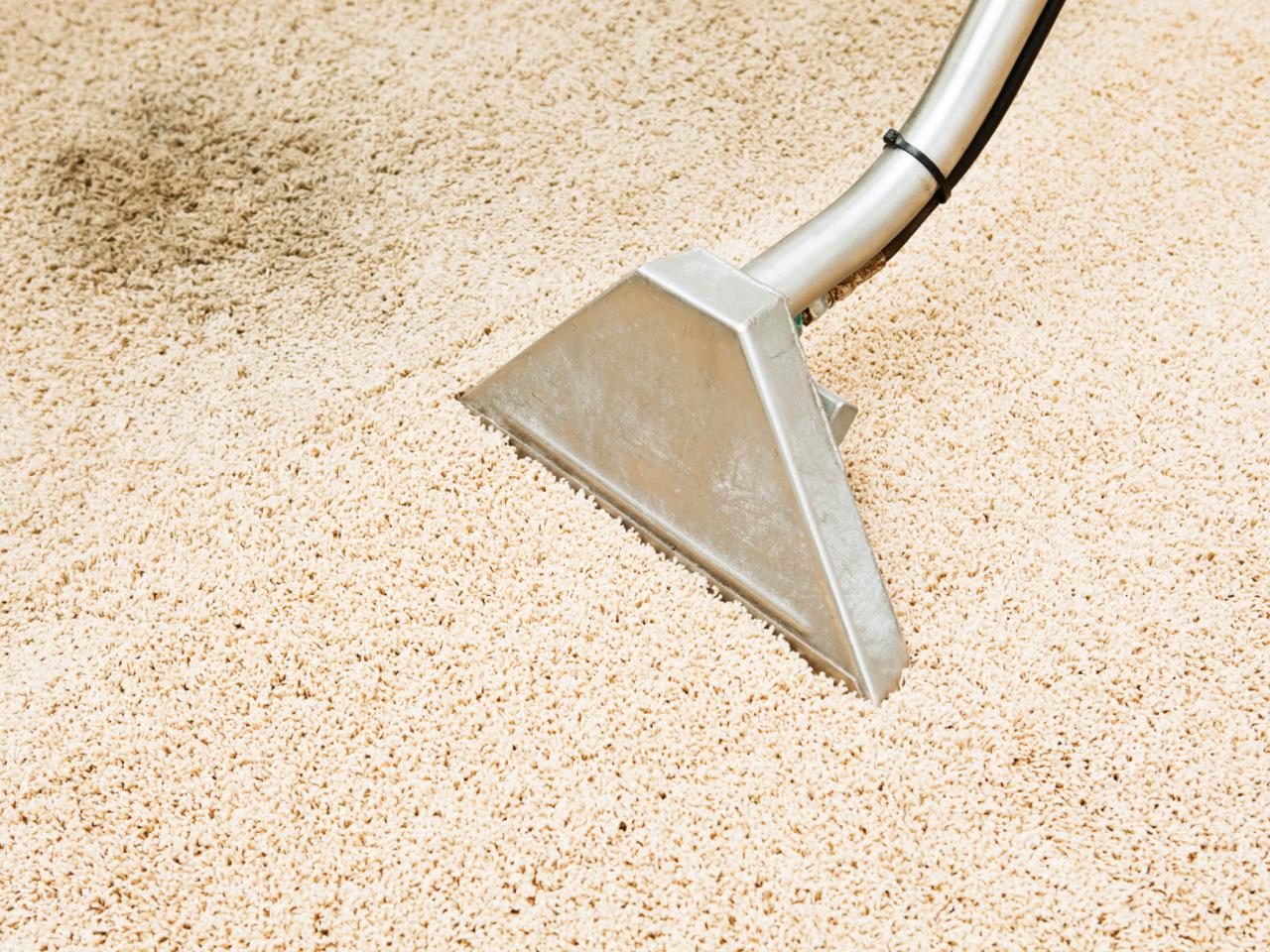 How to Get Pet Stains Out of Carpet | DIY