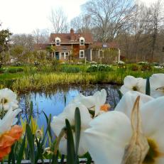 Formal Cottage Garden and Pond with Gazebo