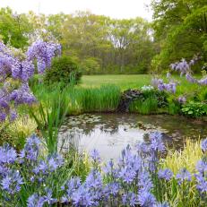 Cottage Garden Pond Framed by Lilacs