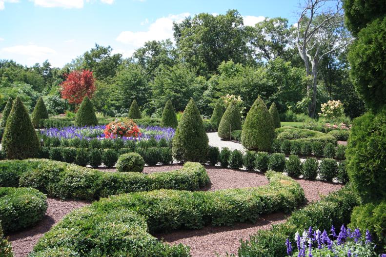 Boxwood hedges in an English garden