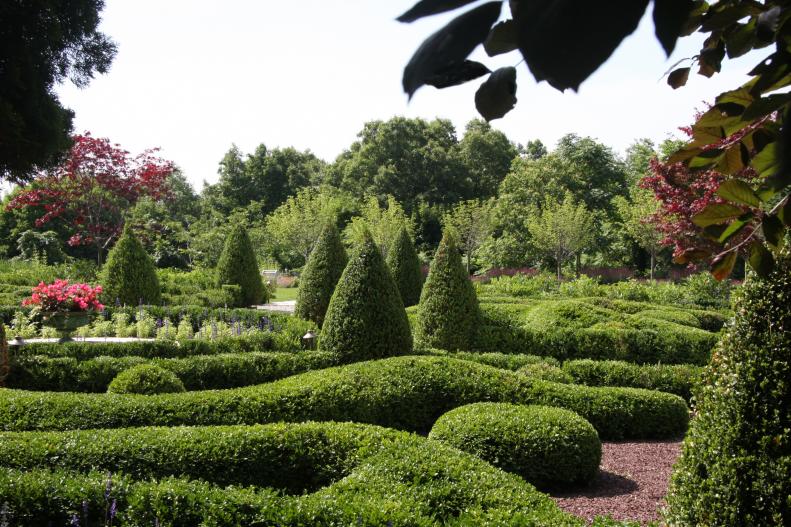 Layers of pruned boxwood in a formal garden