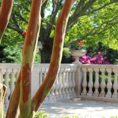 Layered Plantings in a Villa's Formal Garden
