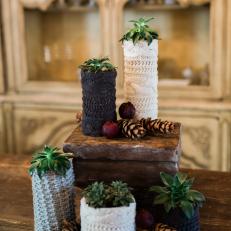 Winter Decor with Succulents, Pinecones and Sweaters