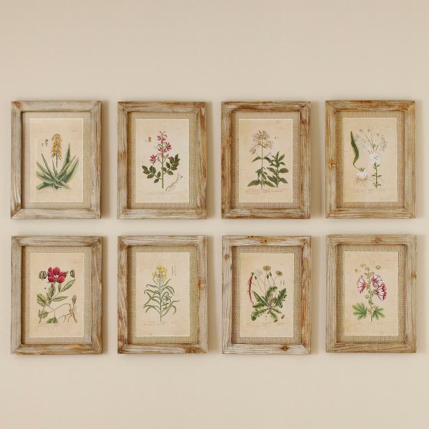 Botanical Decor | HGTV