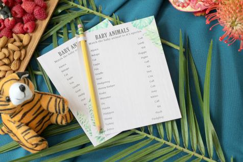 Guess the baby hotsell animal name game printable