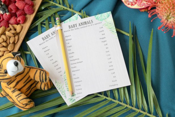 Jungle Theme Baby Shower Matching Game