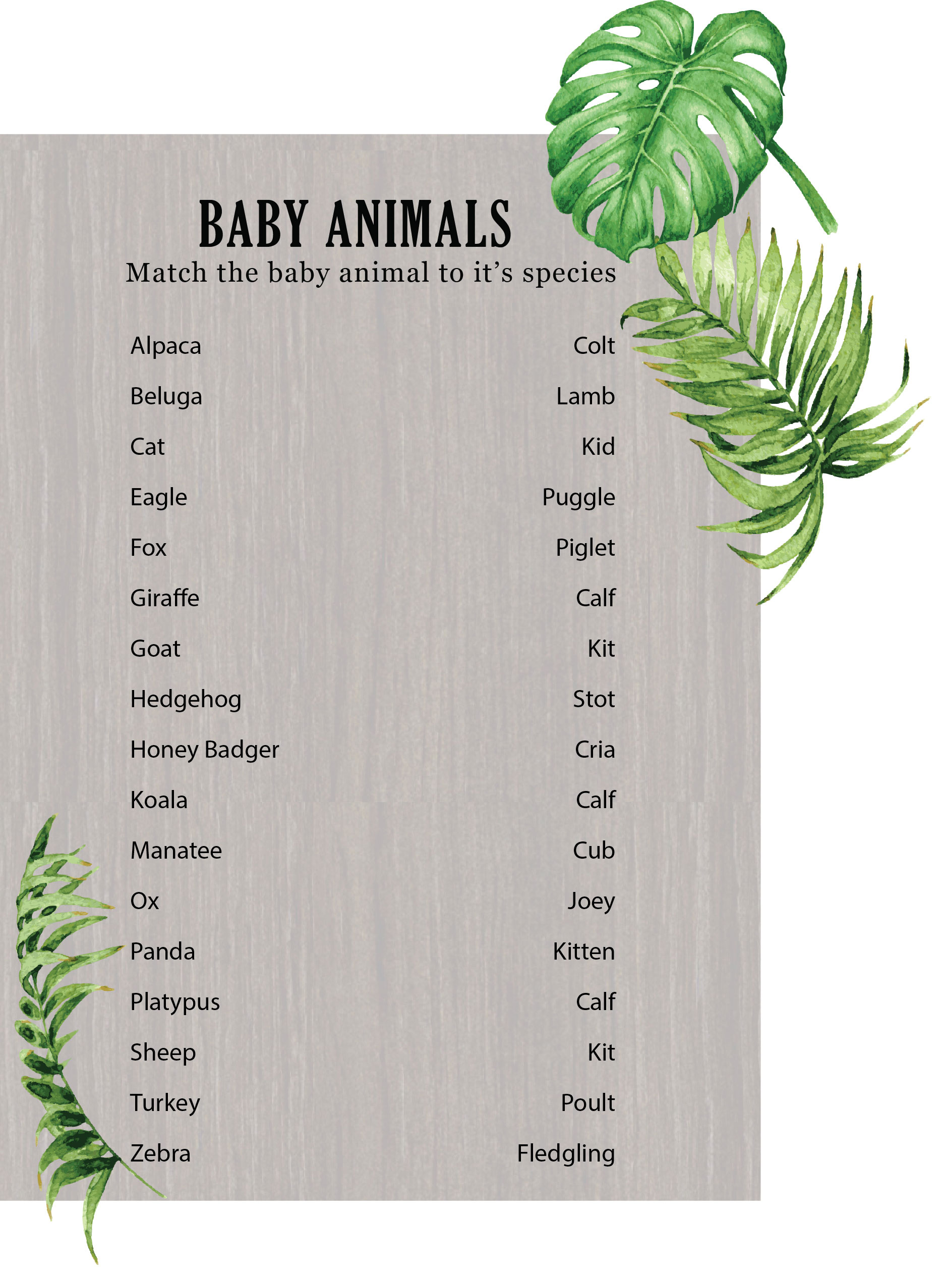 baby animals match game answers baby animals match game answers