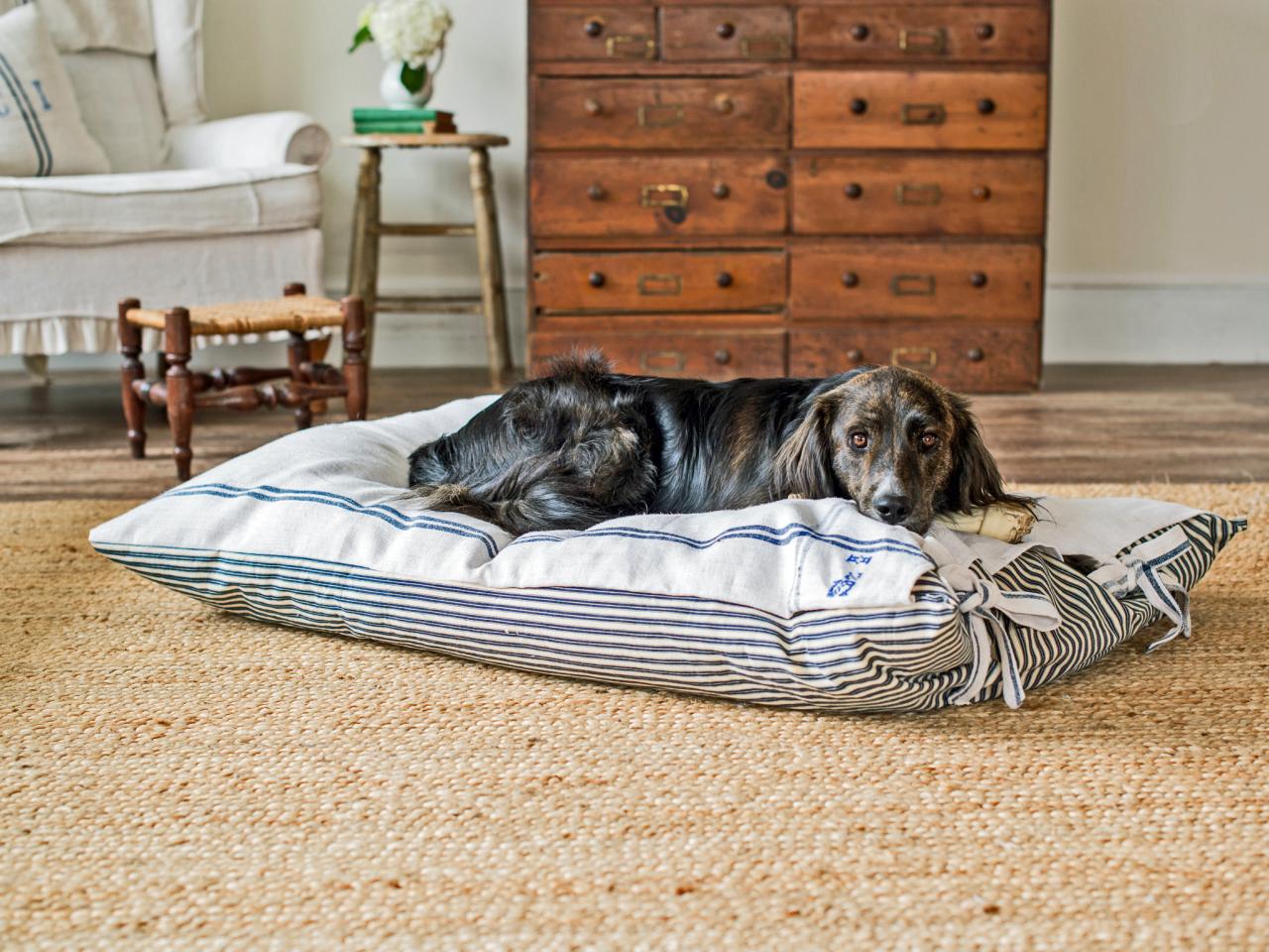 pet projects: make a diy dog bed | hgtv