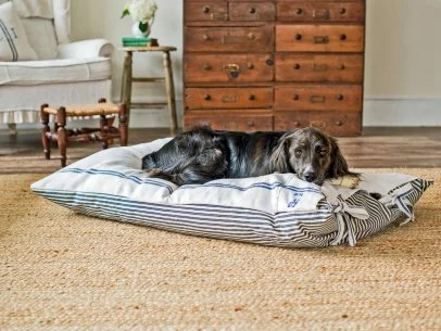 Pet Projects Make a DIY Dog Bed HGTV