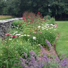 The Fire Pit Garden With Native Plants