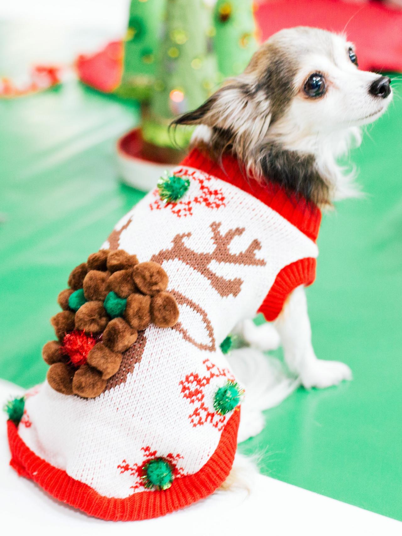 How to an Ugly Christmas Sweater Dog | HGTV