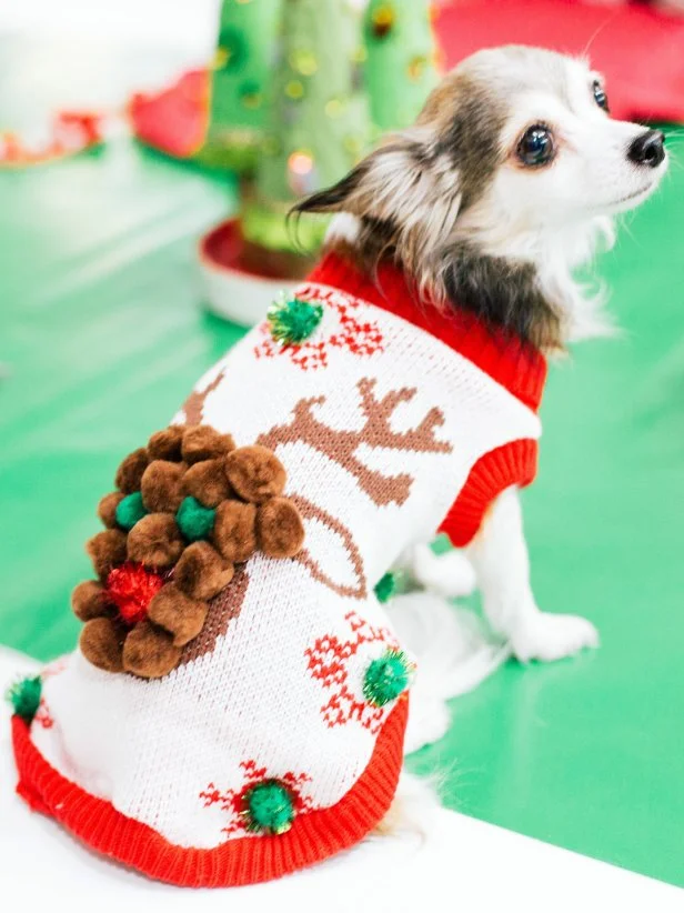 Shops dog themed ugly christmas sweater