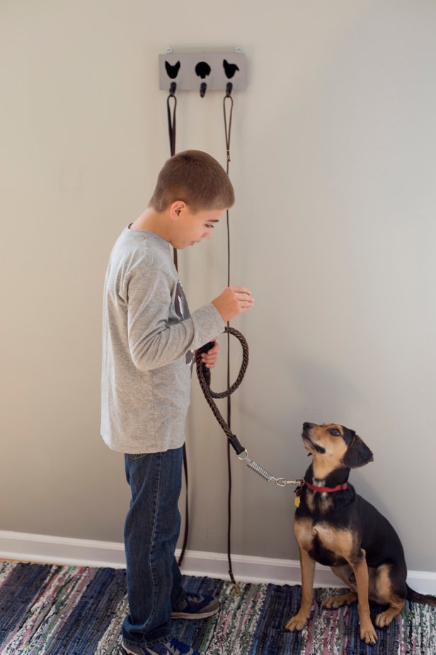 boy and dog